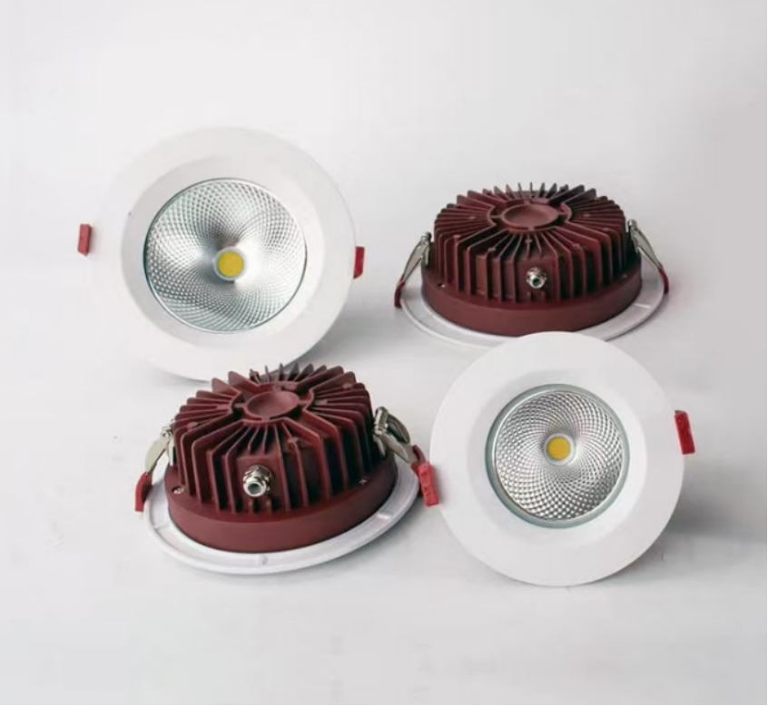 Waterproof LED downlights
