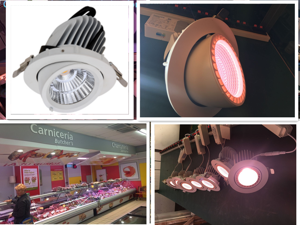 Downlights for meat lighting