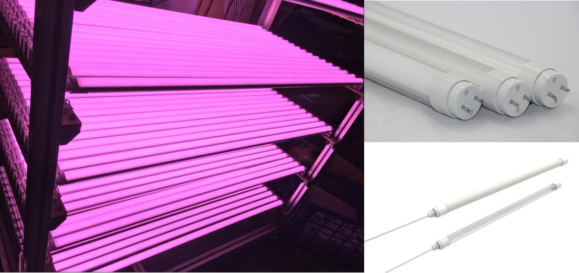 Professional customized LED lighting colors more perfectly enhancing retail foods display