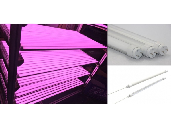 Professional customized LED lighting colors more perfectly enhancing retail foods display